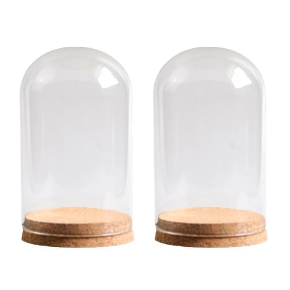 Pack of 2 Miniature Glass Cloche Dome with Cork Base for Decorative Display and Dustproof Terrariums Glass Bells Jar