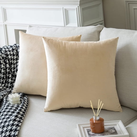 Pack of 2 Velvet Pillow Covers Solid Decorative Pillow Covers Christmas Pillowcases for Sofa Bedroom Couch Car,12x20 Inch Without Core