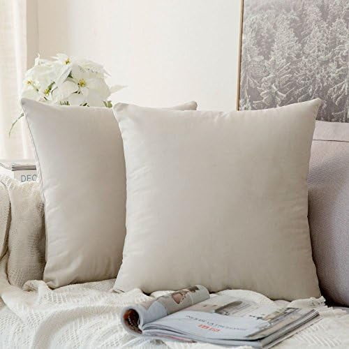 Pack of 2 Velvet Soft Solid Decorative Square Throw Pillow Covers Set Christmas Cushion Case for Spring Sofa Bedroom Car 20x20 Inch 50x50 cm