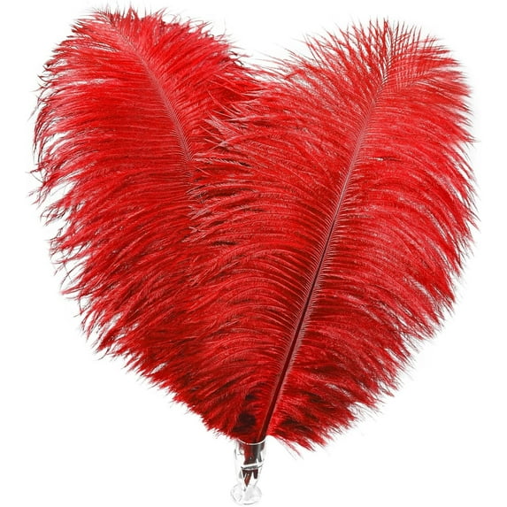 Pack of 20 Natural Red Ostrich Feathers,Bexikou 8-10 Inches Feather for DIY Decorations,Wedding Party Centerpiece Decorations