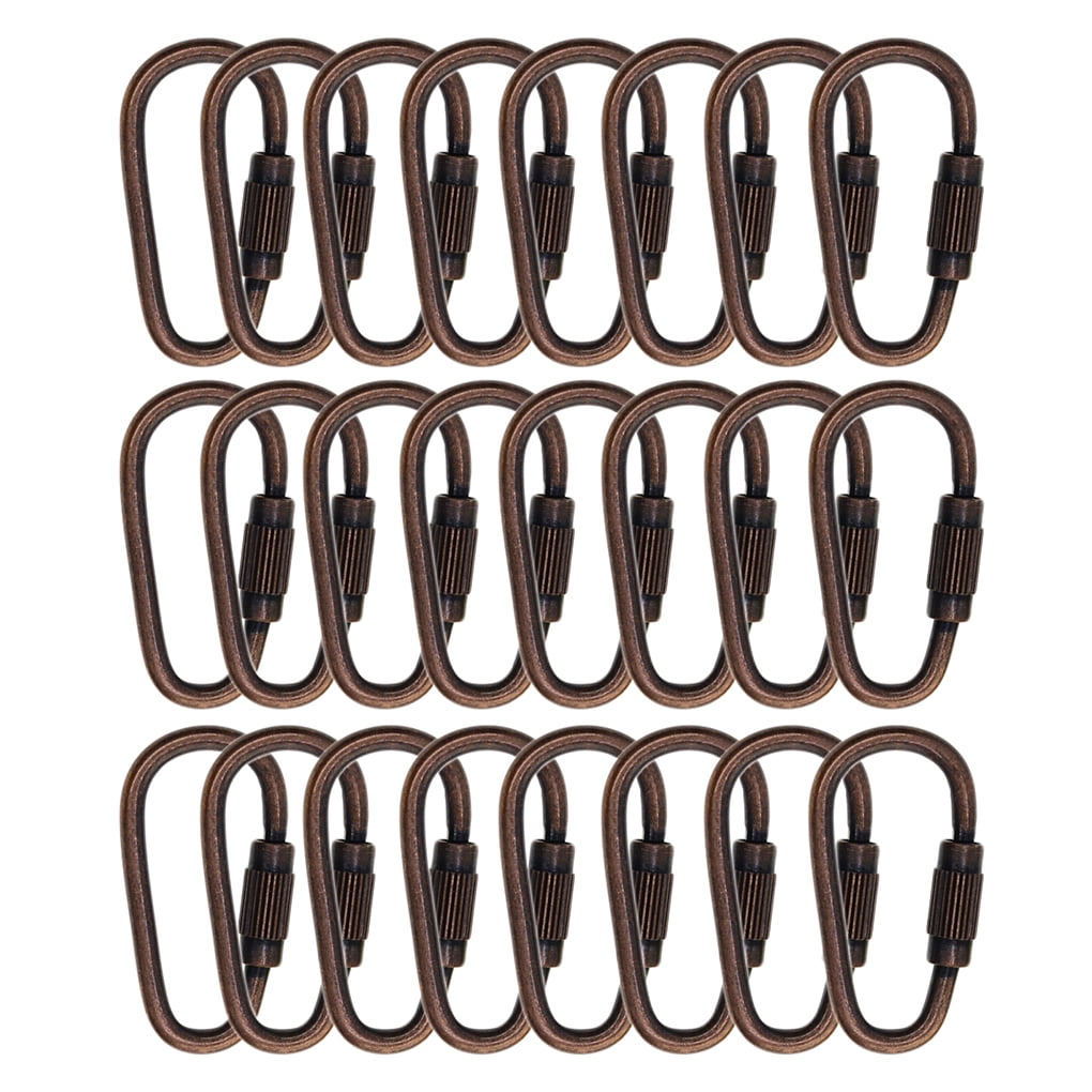 Pack of 24 D Ring Locking Carabiner Keychain Mini Hooks Spring Lock
