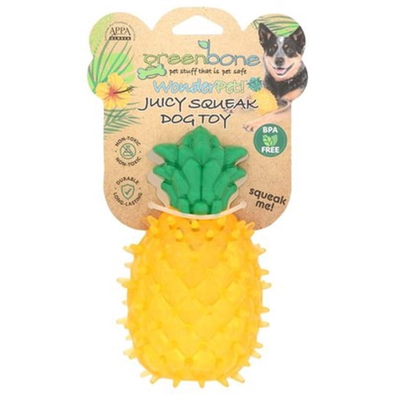 (Pack of 24) Greenbone Pet Toy Pineapple 1 Each