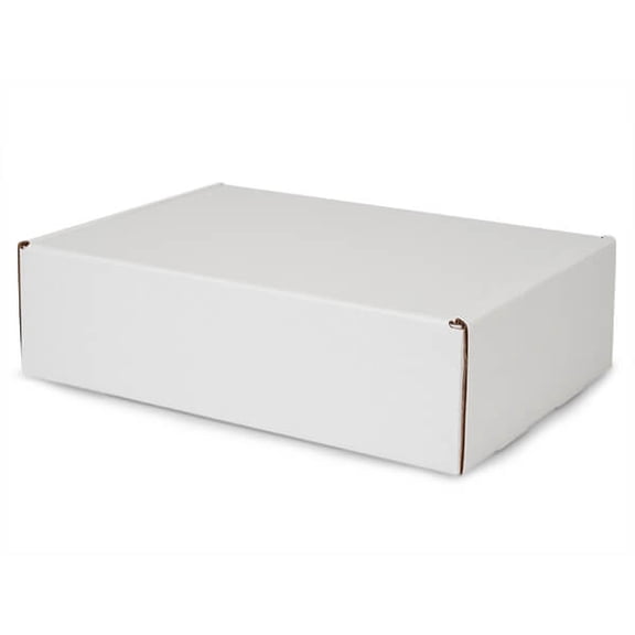 Pack of 25, White Kraft Tab Lock Mailer Box, 14x10x4", One-Piece for Everyday Shipping, Made in USA