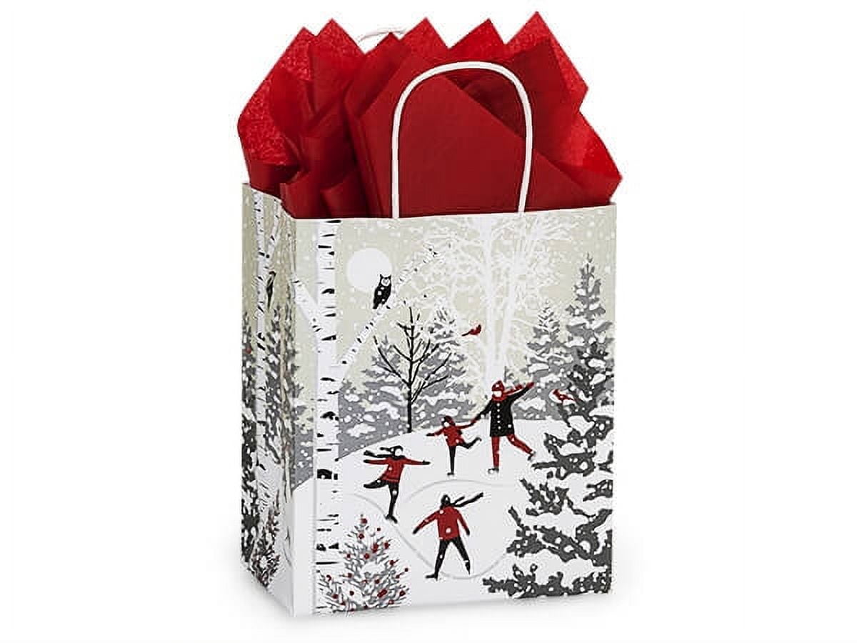 Painted Desert Paper Gift Bags, Cub 8x4.75x10, 25 Pack