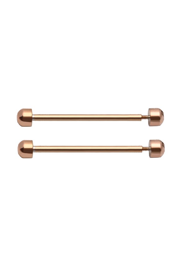 Pack of 2pcs Watch Screw Tube Rods, Watch Lug Strap Link Kit Connection Pins 16/18/20/22mm
