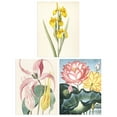 thumbnail image 1 of Pack of 3 Audubon Style Vintage Floral Yellow and Pink Flower Blooms Botanical Unframed Wall Art Living Room Prints Set, 1 of 5