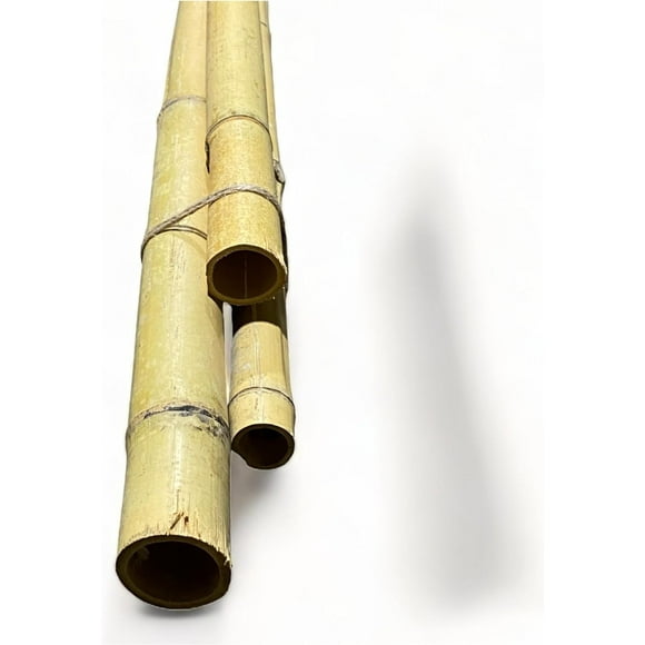 Pack of 3 Bamboo Sticks - 6 Feet Long Natural Thick Bamboo Poles - 1.5 in Diameter - Garden Stakes (Beige)