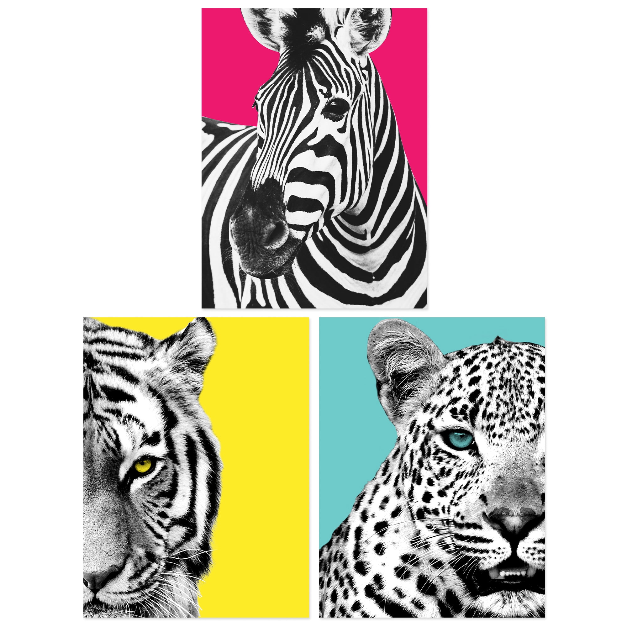 Pack of 3 Bright Wild Animal Bright Pink and Yellow Zebra Lion Leopard