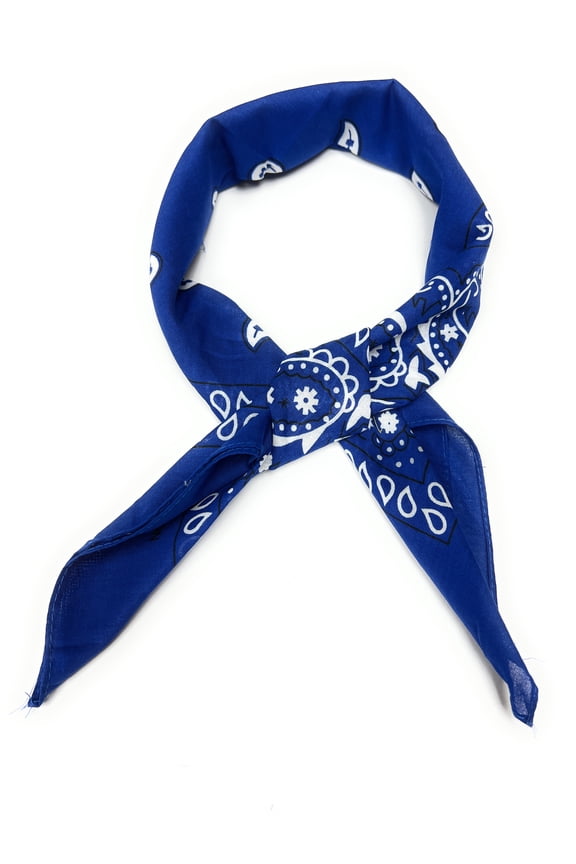 Pack of 3 Paisley Women's 100% Cotton Neck Scarf(Royal Blue)