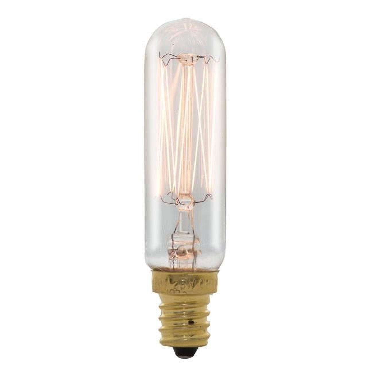 Pack of (4) 25 Watt Dimmable Clear Appliance  Amusement T6 Candelabra (E12) Incandescent Bulb