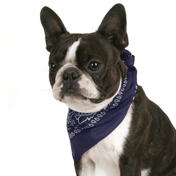 Pack of 4 Paisley Cotton Dog Bandana Triangle Shape - One Size Fits Most (Blue)