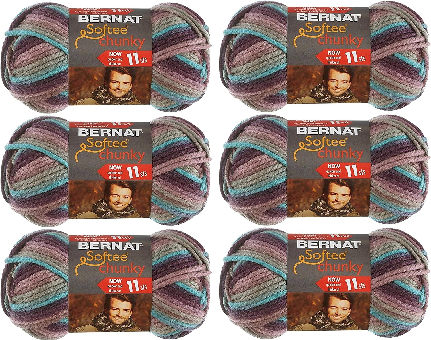 (Pack of 6) Bernat Softee Chunky Ombre Yarn-Shadow