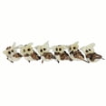 thumbnail image 1 of Set of 6 Brown and Ivory Sisal Owls Christmas Ornaments, 2.25", 1 of 3