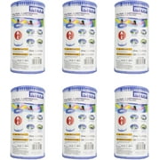 Intex 29000E Type A or C Pool Filter Cartridge, 6 Pack