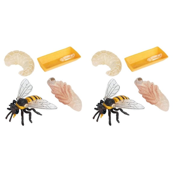 Pack of 8 Insect Figurines Life Cycle of Realistic Insects Figures Toys Educational Science Model Toy,8 x bee growth cycle models