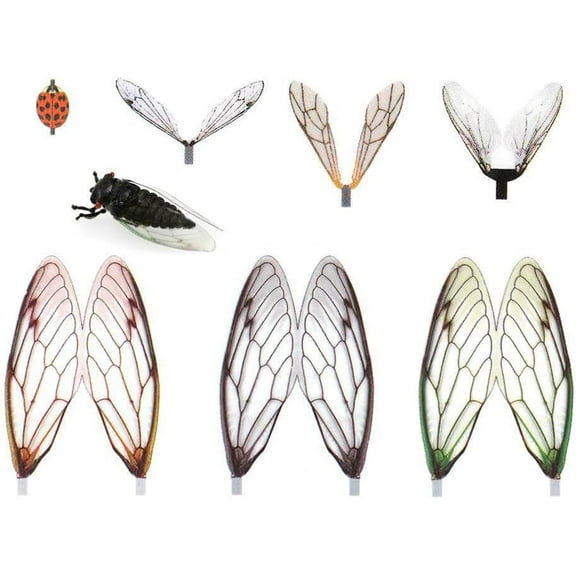 Realistic Fly Tying Wings Pre-Cut Insect Stonefly Wings Fishing Lures, 80 Count