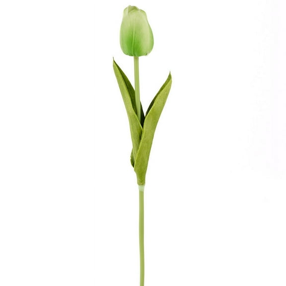 Package of 6 Realistic Spring Green Tulip Stems