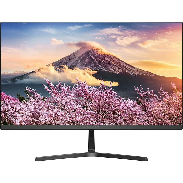 Packard Bell 21 Inch Computer Monitor FHD 1920 x 1080 Display PC