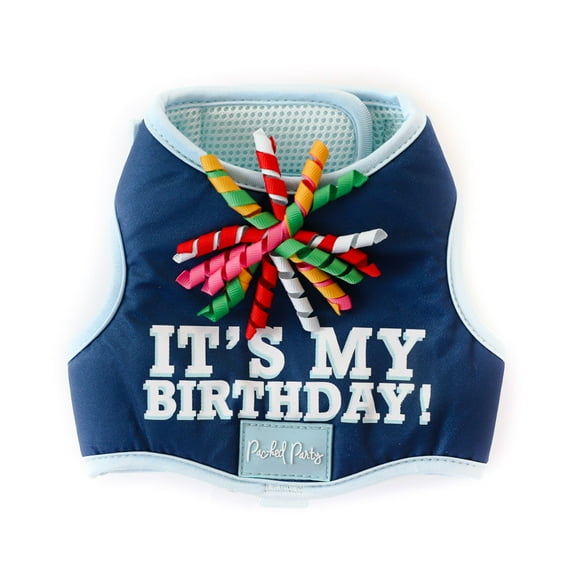 Packed Party Birthday Dog Harness, Large