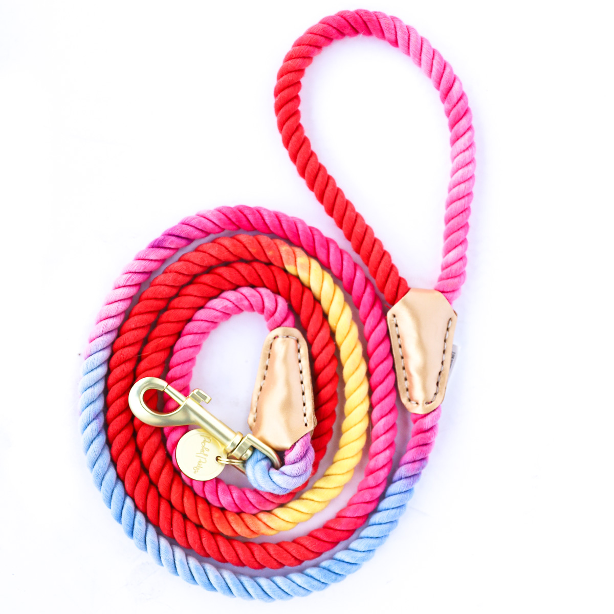 Packed Party Hold It! Rainbow Rope Dog Leash - image 1 of 8