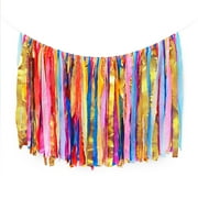 Packed Party Picture Perfect Fringe Photo Wall Backdrop