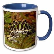 3drose, Pacman Frog, South American Horned Frog - Na02 Aje0361 - Adam Jones, 11oz Two-tone Blue Mug
