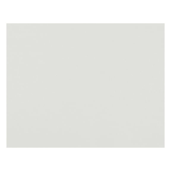 Pacon 4-Ply Railroad Board, 22 x 28 Inches, White, 50 Sheets