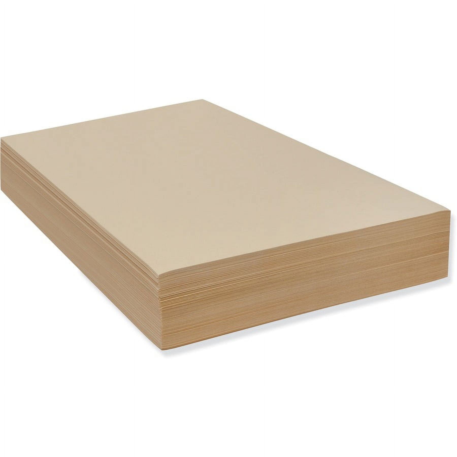 Pacon Drawing Paper Sheets - 500 Sheets - Plain - 18 Pacon Drawing Paper Sheets - 500 Sheets - Plain - 18