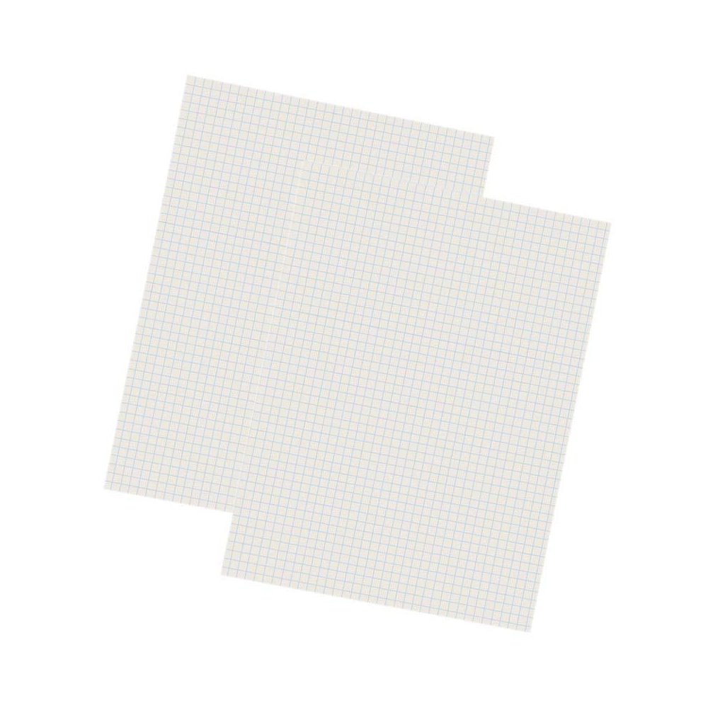 Pacon Grid Ruled Drawing Paper, White, 1/4" Quadrille Ruled, 9" x 12", 500 Sheets Per Pack, 2 Packs