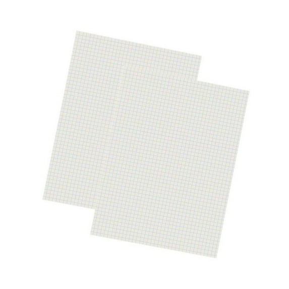Pacon Grid Ruled Drawing Paper, White, 1/4" Quadrille Ruled, 9" x 12", 500 Sheets Per Pack, 2 Packs