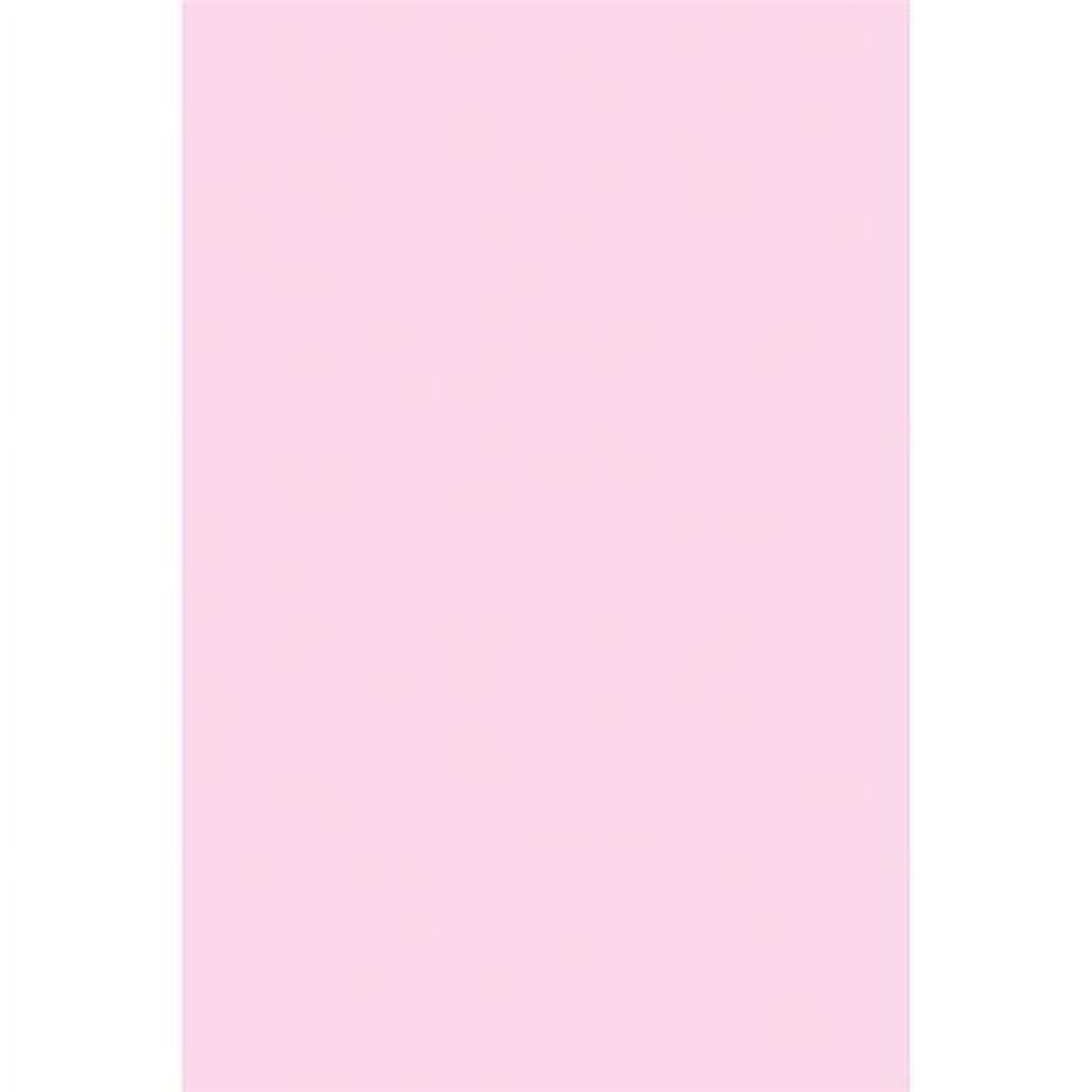 Spectra Deluxe Bleeding Tissue Paper, 20 x 30 Inches, Baby Pink, 24 Sheets