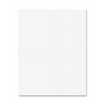 thumbnail image 1 of Pacon Railroad Board Art, Craft, Mat, Mounting, Block Printing, Painting, Marker, Stenciling, Poster - 22" x 28" - 100 / Carton - White, 1 of 4