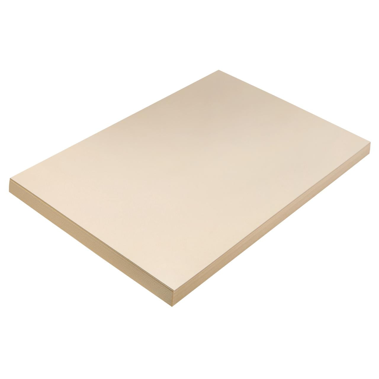 Pacon Tagboard, 12" x 18", Medium-Weight, Manilla