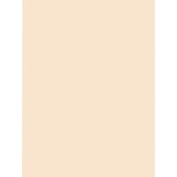 Pacon Tagboard - Art, Craft - 18"Width x 24"Length - 100 / Pack - Manila | Bundle of 2 Packs