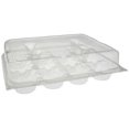 thumbnail image 1 of Pactiv Foodservice PETE Clear 12 Count Cupcake Clamshell Container, 64 Ounce Capacity -- 115 per case., 1 of 1