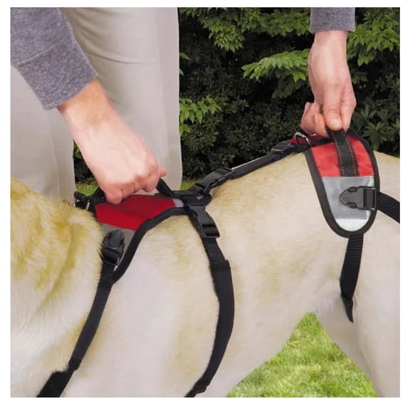 Padded Easy Lift Support Assist Dog Harness Lead Choose from 4 Sizes or Vet Pack (Small)