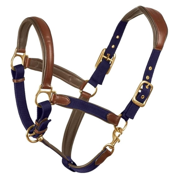 Padded Leather Crownpiece Ergonomic Comfortable Adjustable Chin Luxor Cushion-Flex Halter, Navy, Horse