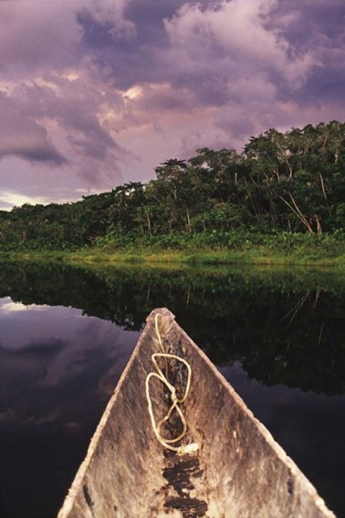 Paddling a dugout canoe on Lake Anangucocha Yasuni National Park Amazon basin Ecuador Canvas Art - Christopher Bettencourt DanitaDelimont (24 x 36)