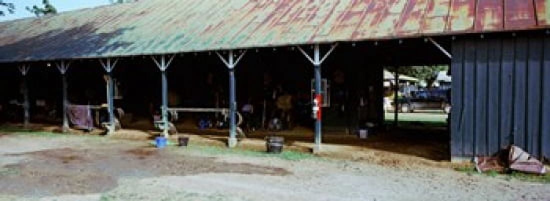 Paddock at Saratoga Racecourse Saratoga Springs New York State USA Canvas Art - Panoramic Images (18 x 7)