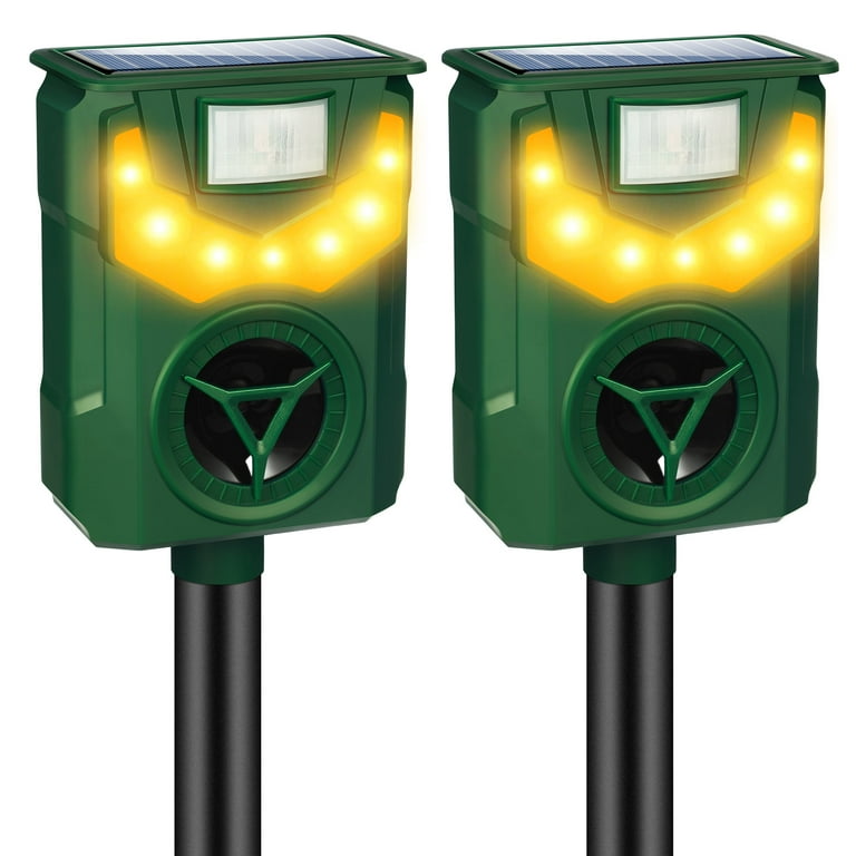 Will Motion Lights Deter Deer? Discover Effective Strategies