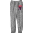 thumbnail image 1 of Padel Paladin Youth Heather Gray Jogger Pants-Medium, 1 of 4