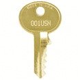 thumbnail image 1 of Padlock Replacement Key for Master Lock 784USN, 1 of 1