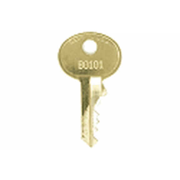 Padlock Replacement Key for Master Lock B1717