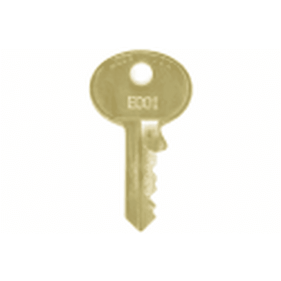Padlock Replacement Key for Master Lock E590