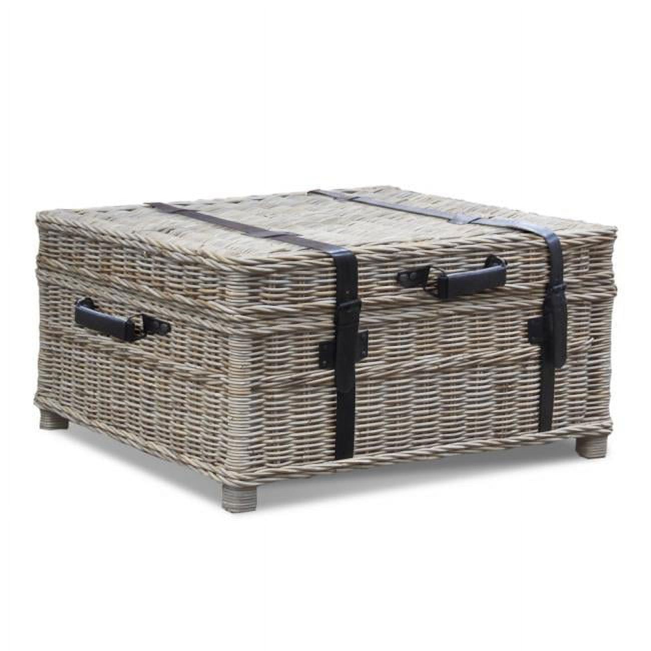 Gray Wicker Rectangular Coffee Table Trunk with Leather Accents