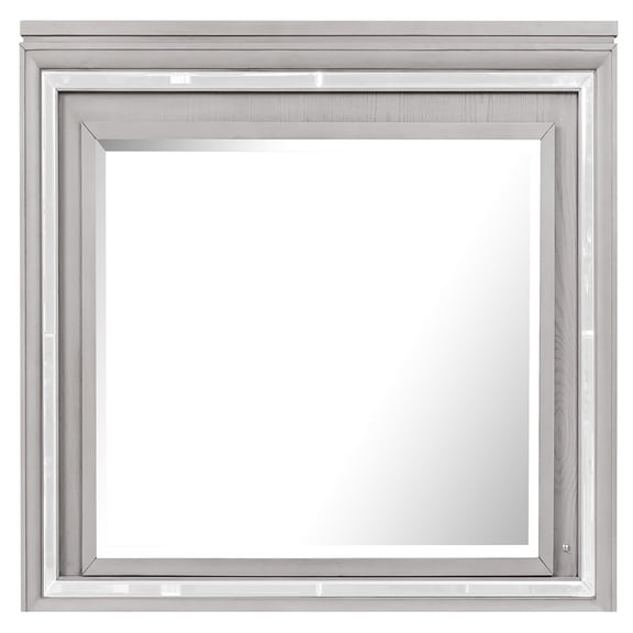 Padua 49 in. W x 40 in. H Rectangle Framed Washed Gray Dresser Mirror