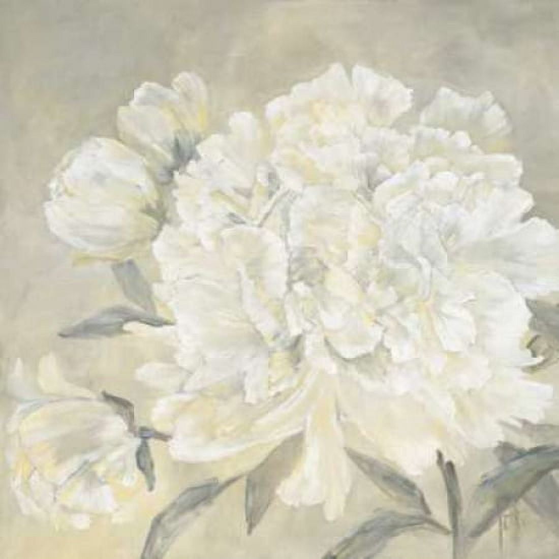 Paeonia I Canvas Art - Jettie Roseboom (24 x 24)