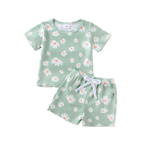 PaerPade Toddler Baby Girl Summer 2 Piece Shorts Set, 0 6 12 18 24 Months 2T 3T Round Neck Short Sleeve Daisy Print Tops and Elastic Waist Shorts Infant Clothes Outfits
