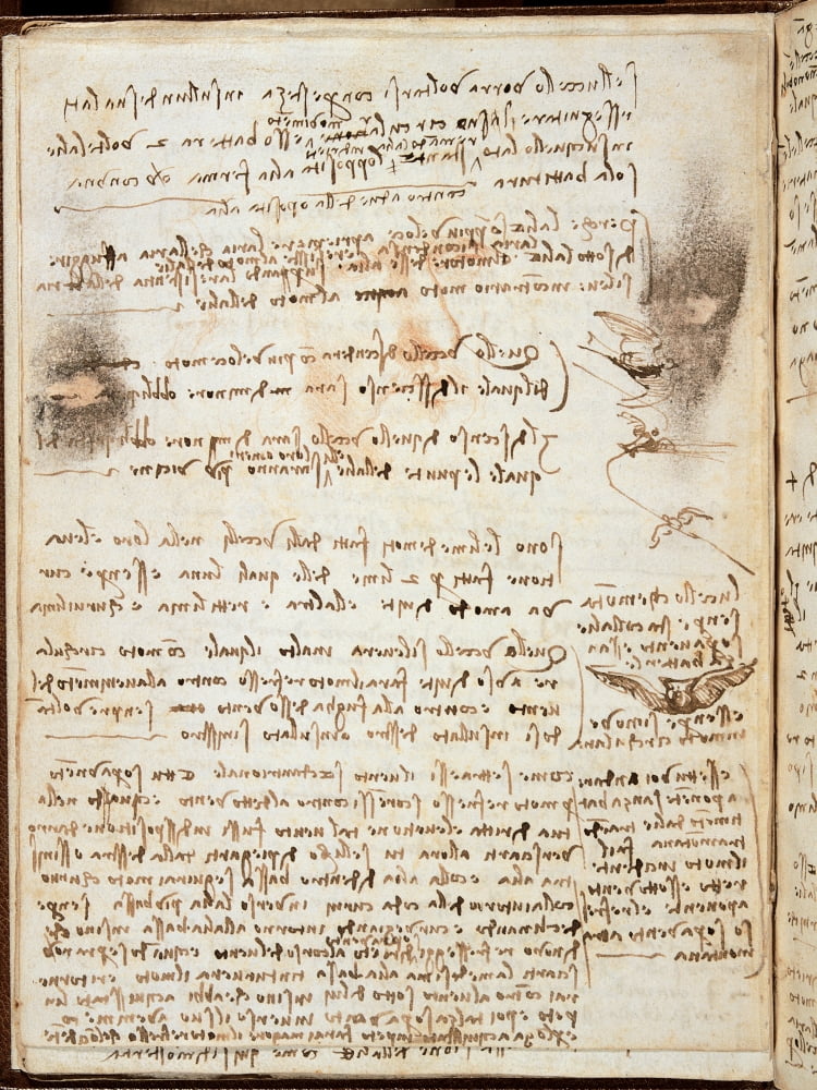 Page From The Codex Regarding The Flight Of Birds Canvas Art - (18 x 24)