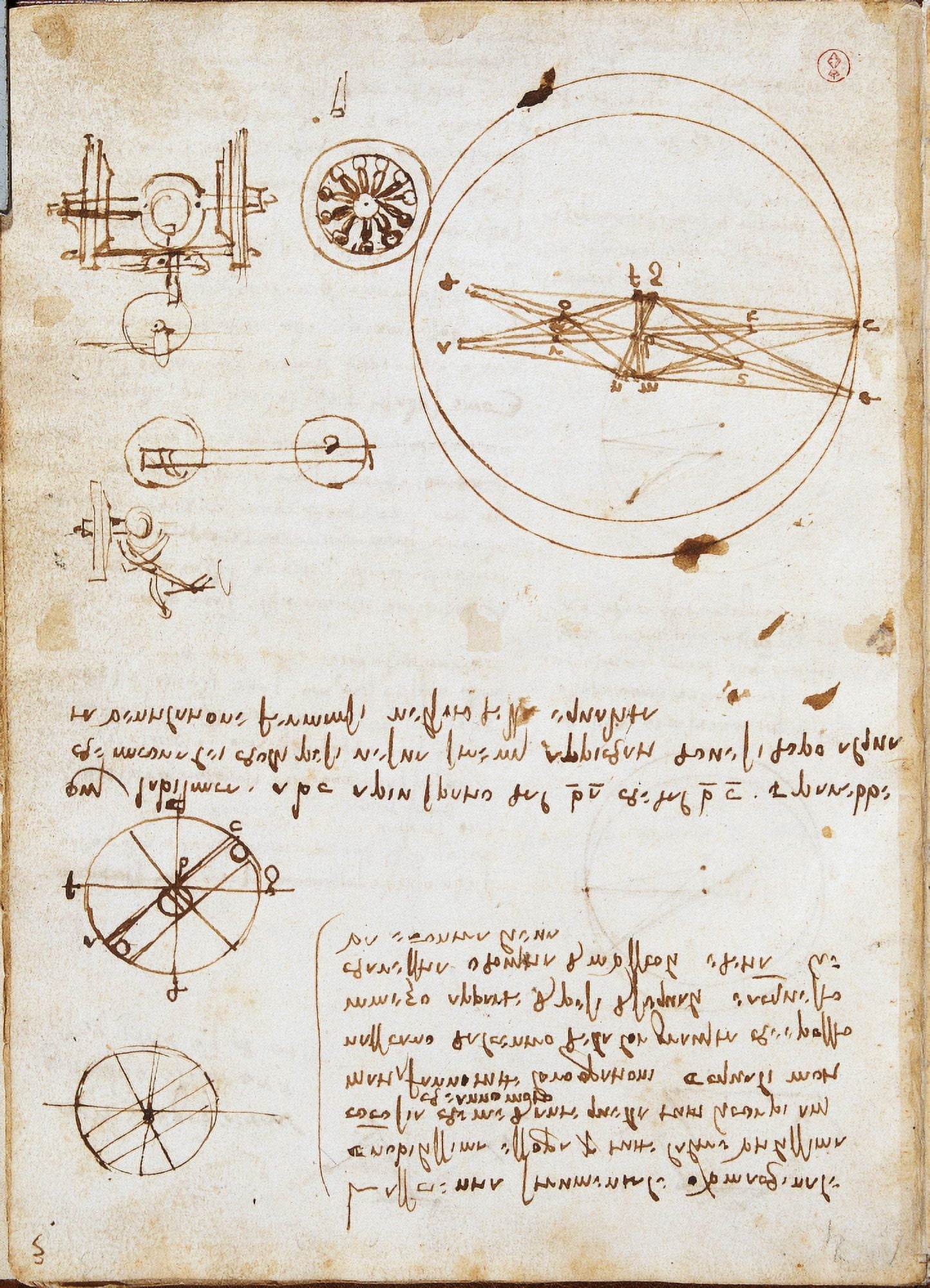 Page From The Codex Regarding The Flight Of Birds Canvas Art - (18 x 24)
